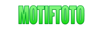 Logo MOTIFTOTO